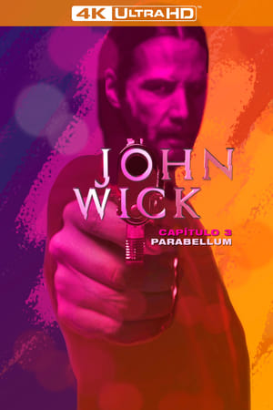 John Wick: Chapter 3 - Parabellum poster 1