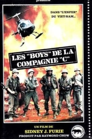 Boys in Company C poster 3