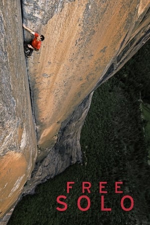 Free Solo poster 3