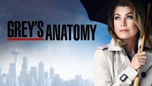 Grey's Anatomy, Season 10 image 1