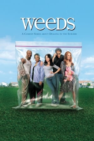Weeds, Season 8 poster 0