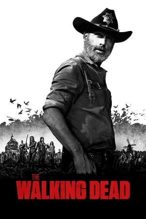 The Walking Dead, Season 11 poster 0