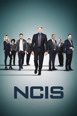 NCIS, Season 5 poster 3