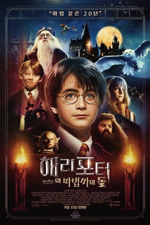 Harry Potter and the Sorcerer's Stone (Extended Version) poster 1