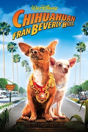 Beverly Hills Chihuahua poster 1