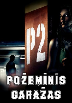 P2 poster 3