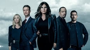 Law & Order: SVU (Special Victims Unit), Season 9 image 2