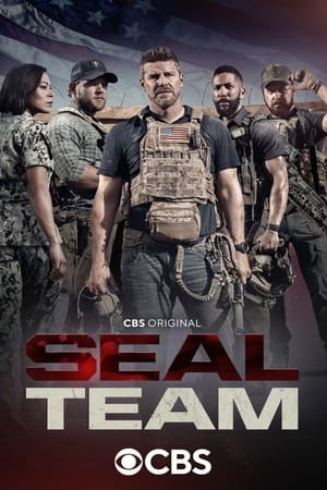 SEAL Team, Season 1 poster 0