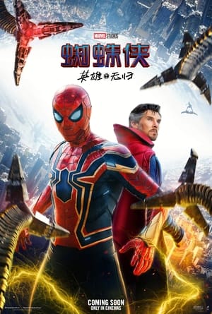 Spider-Man: No Way Home (Extended Version) poster 2