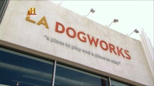 The Profit, Season 1 - LA Dogworks image