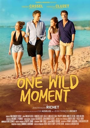 One Wild Moment poster 3