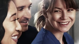 Grey's Anatomy, Season 9 image 0