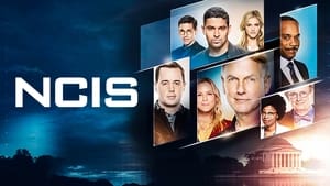 NCIS, Season 17 image 0