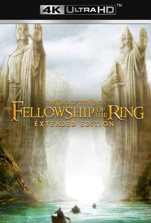 The Lord of the Rings: The Fellowship of the Ring (Extended Edition) poster 2