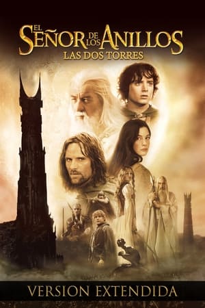 The Lord of the Rings: The Two Towers poster 4