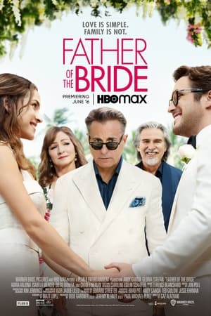 Father of the Bride poster 4