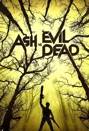 Ash Vs. Evil Dead, Season 2 poster 0