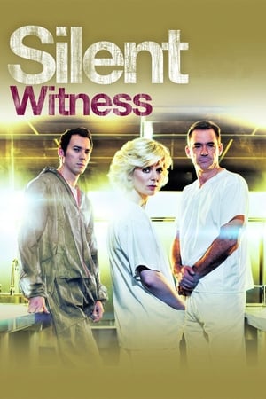 Silent Witness, Season 24 poster 3