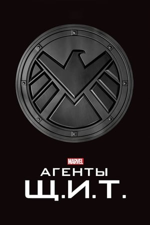 Marvel's Agents of S.H.I.E.L.D., Season 4 poster 0