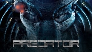Predator image 3