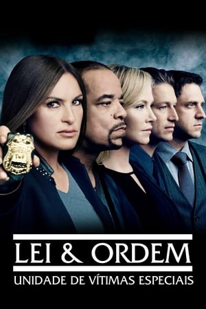 Law & Order: SVU (Special Victims Unit), Season 10 poster 2