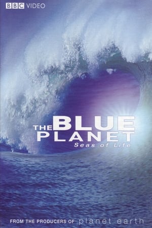 The Blue Planet poster 1