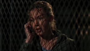 Law & Order: SVU (Special Victims Unit), Season 8 - Confrontation image