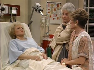 The Golden Girls, Season 2 - Before and After image
