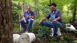Moonshiners, Season 5 - Trouble Brewing image
