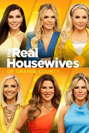 The Real Housewives of Orange County, Season 16 poster 3