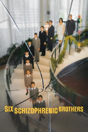 Six Schizophrenic Brothers, Season 1 poster 0