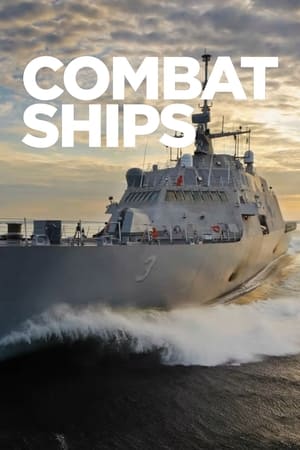 Combat Ships, Season 3 poster 3
