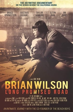 Brian Wilson: Long Promised Road poster 1