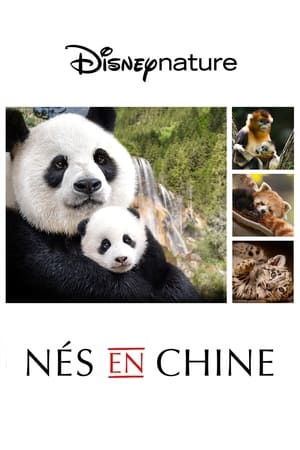 Disneynature: Born In China poster 3