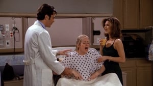 Friends, The One With All the Guest Stars, Vol. 1 - The One with the Birth image