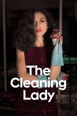 The Cleaning Lady, Season 1 poster 0