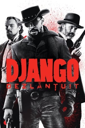 Django (2017) poster 3