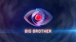 Big Brother, Season 24 image 2