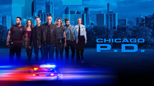 Chicago PD, Season 11 image 2