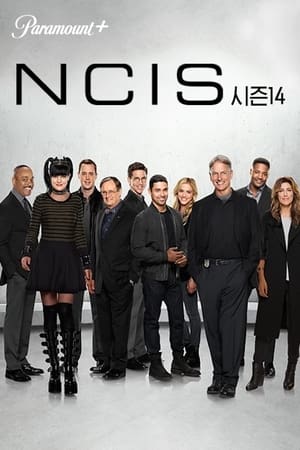 NCIS, Season 15 poster 1