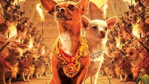 Beverly Hills Chihuahua image 5