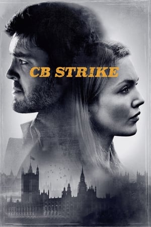 CB Strike: Troubled Blood poster 2