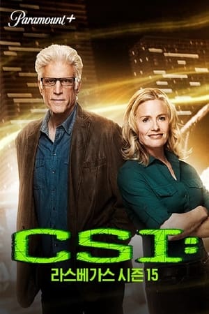 CSI: Crime Scene Investigation, Season 10 poster 1