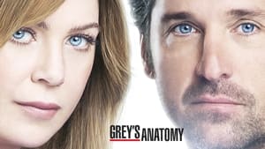 Grey's Anatomy, Season 13 image 3