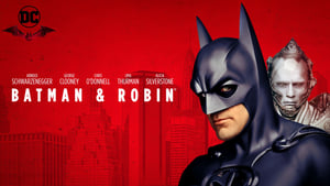 Batman & Robin image 4