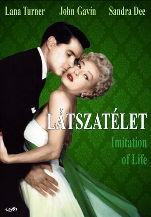 Imitation of Life (1959) poster 2