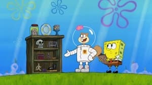 SpongeBob SquarePants, Season 8 - House Sittin' for Sandy image