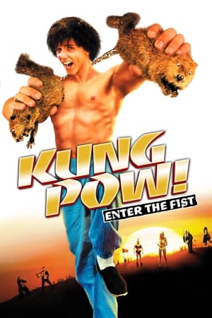 Kung Pow: Enter the Fist poster 3