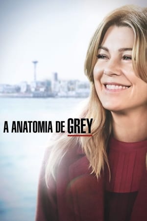 Grey's Anatomy, Season 16 poster 1