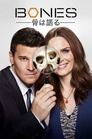 Bones, Season 9 poster 3